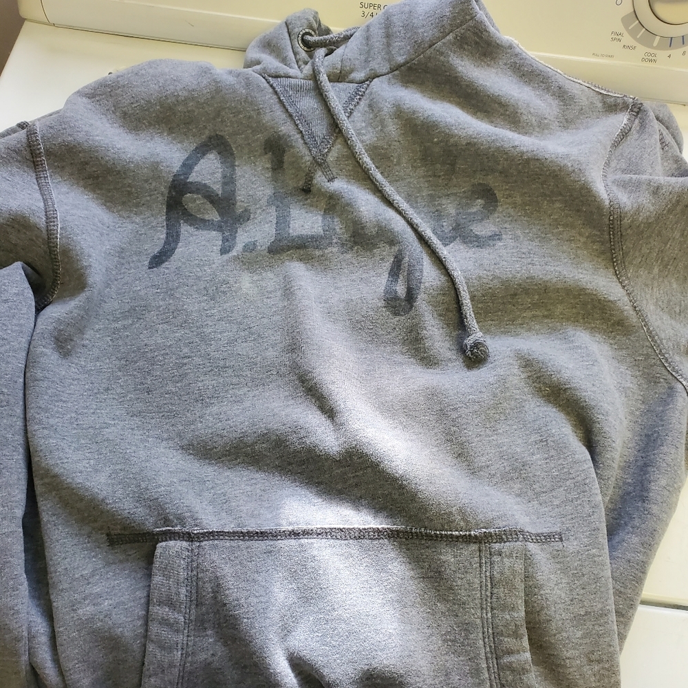 American Eagle Hooded Sweatshirt